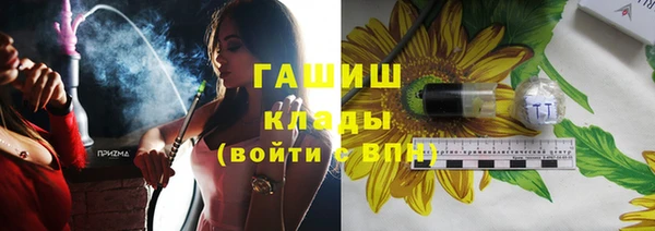 шишки Абаза