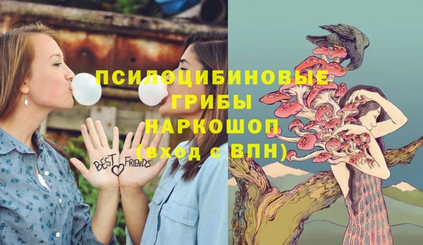 мдпв Осташков