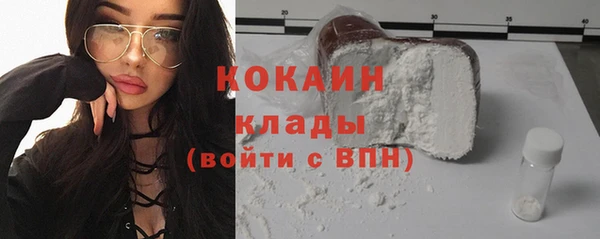 трава Осинники