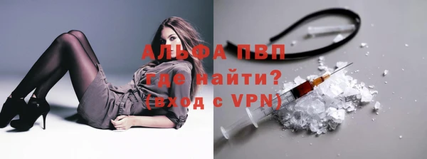 шишки Абаза