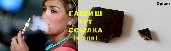 шишки Абаза