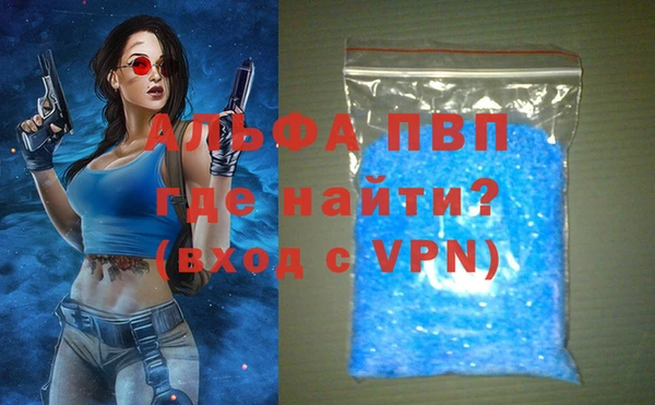 шишки Абаза