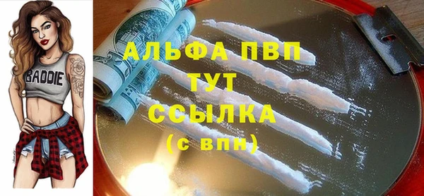 шишки Абаза