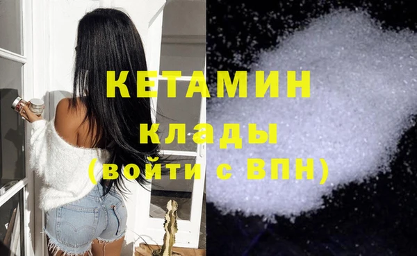 шишки Абаза