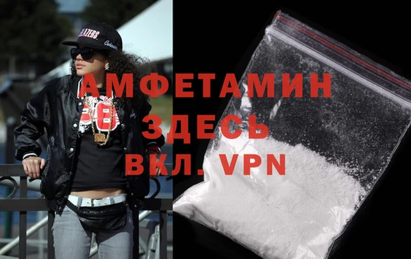 шишки Абаза