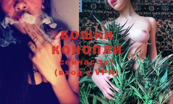 трава Осинники