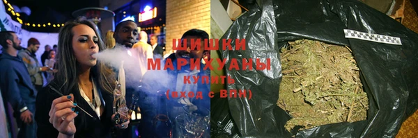 шишки Абаза