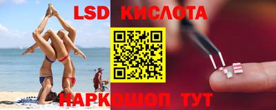 крисы Берёзовский