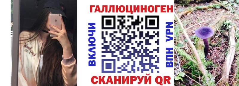 МЕГА вход  Екатеринбург  Псилоцибиновые грибы Psilocybine cubensis 