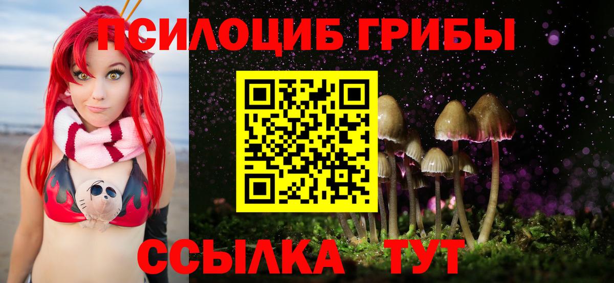 Псилоцибиновые грибы мицелий Екатеринбург